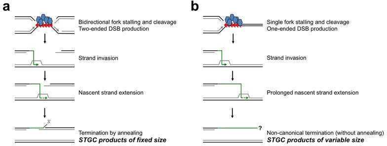 Extended Data Figure 3