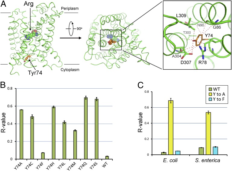 Fig. 4.