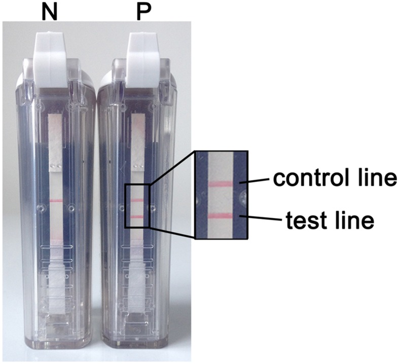 FIGURE 3