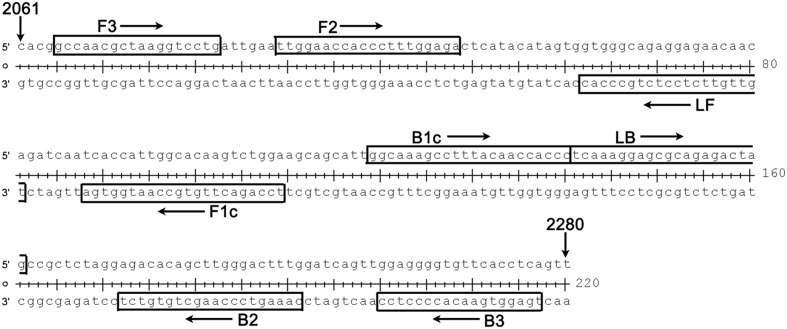 FIGURE 2