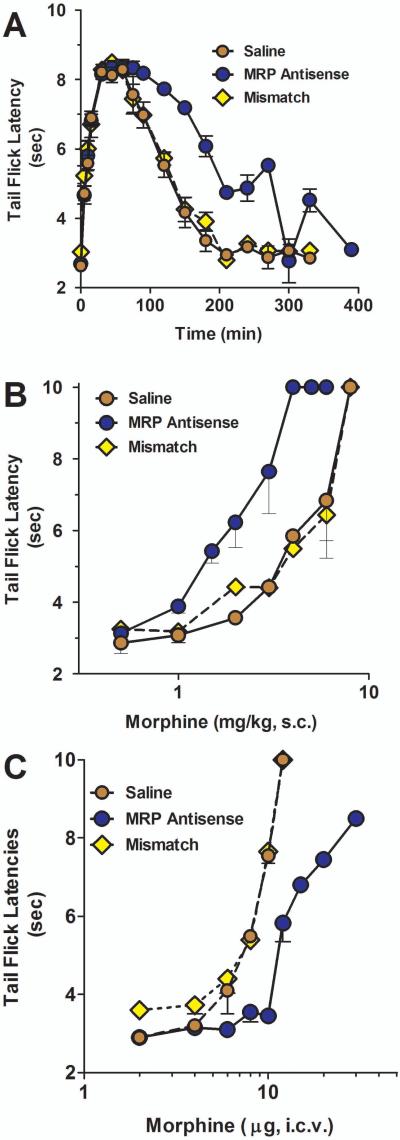 Fig 5