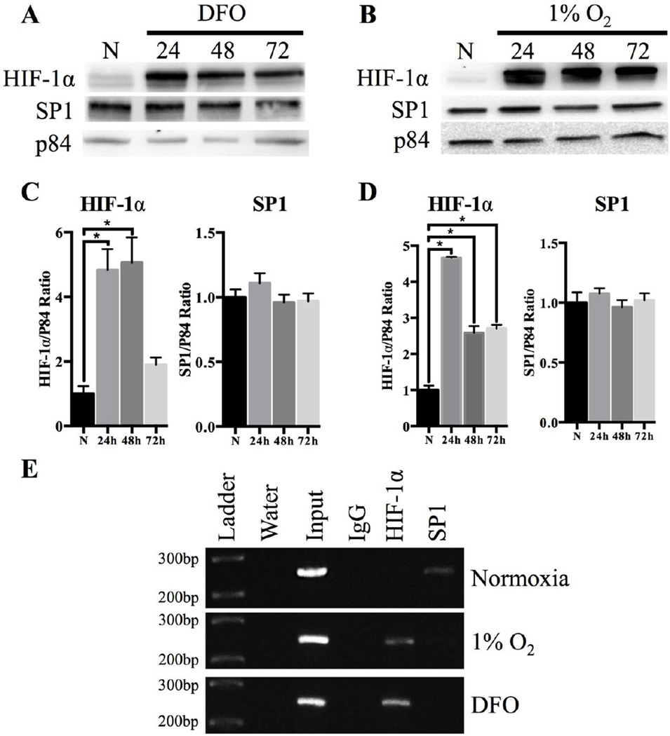 Fig 5