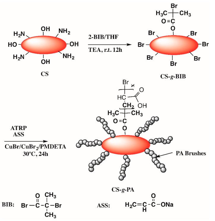 Scheme 1