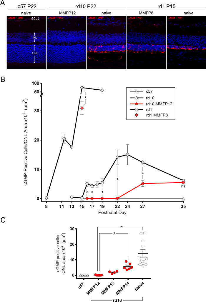 Figure 7.