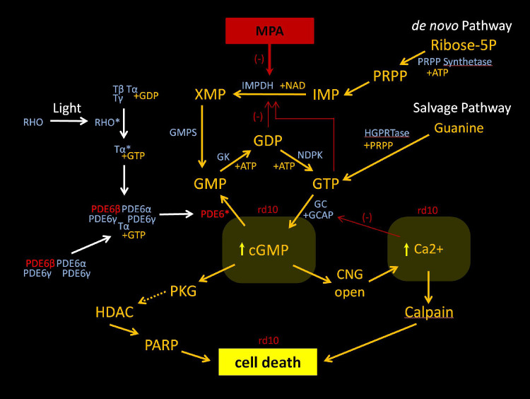 Figure 9.