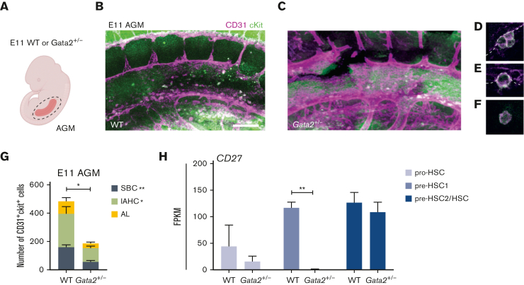 Figure 3.