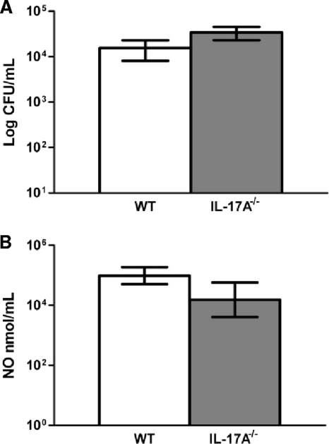 FIG. 11.