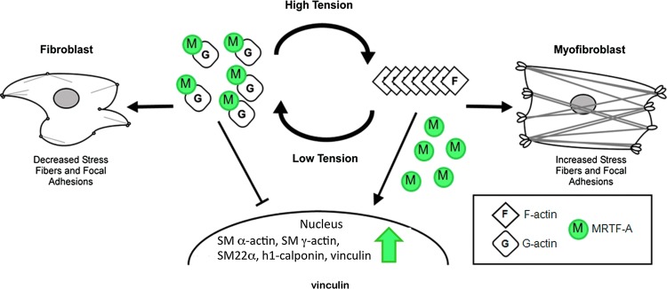 Figure 9.