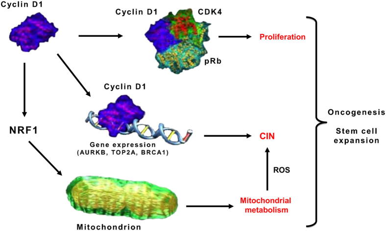 Figure 3