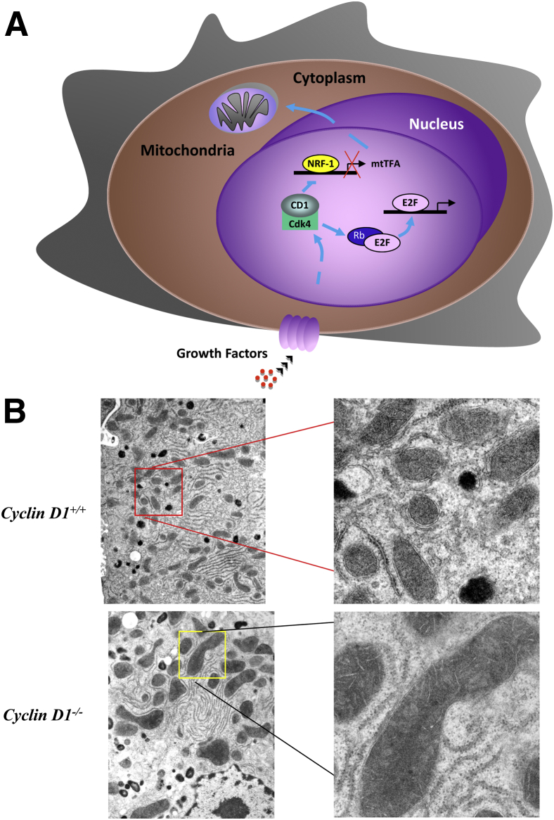 Figure 1