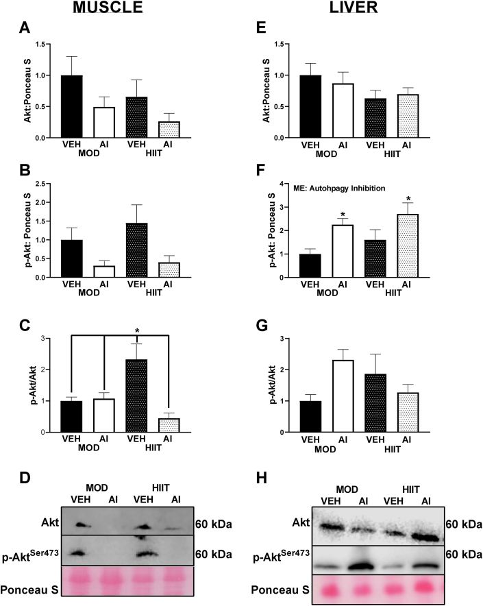 Fig. 6