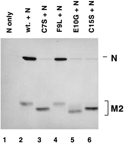 FIG. 5