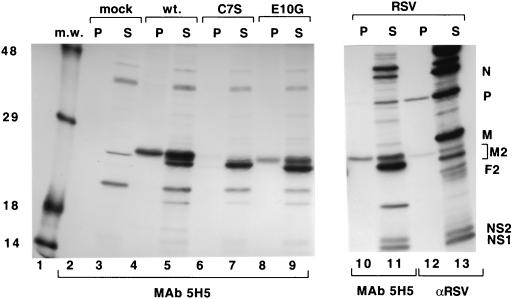 FIG. 4