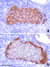 Fig. 12