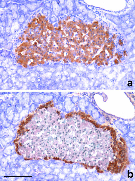 Fig. 12