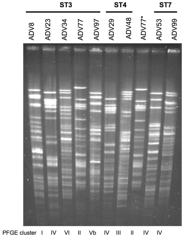 Figure 5