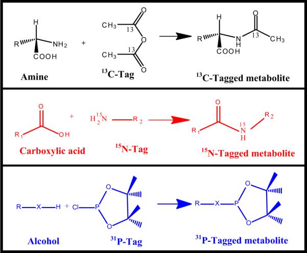 Fig. 13