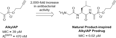 graphic file with name nihms-1010396-f0001.jpg