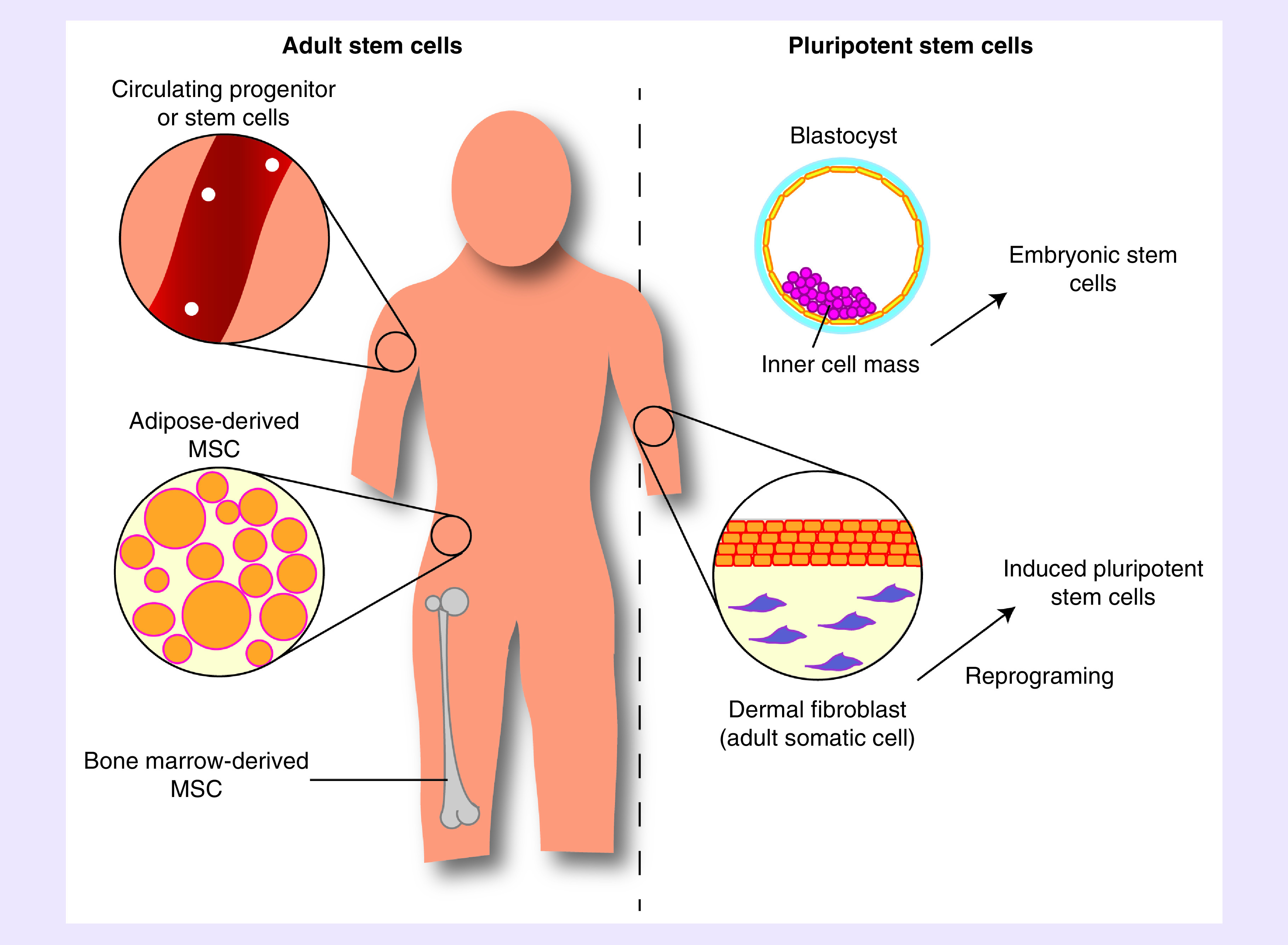 Figure 2. 