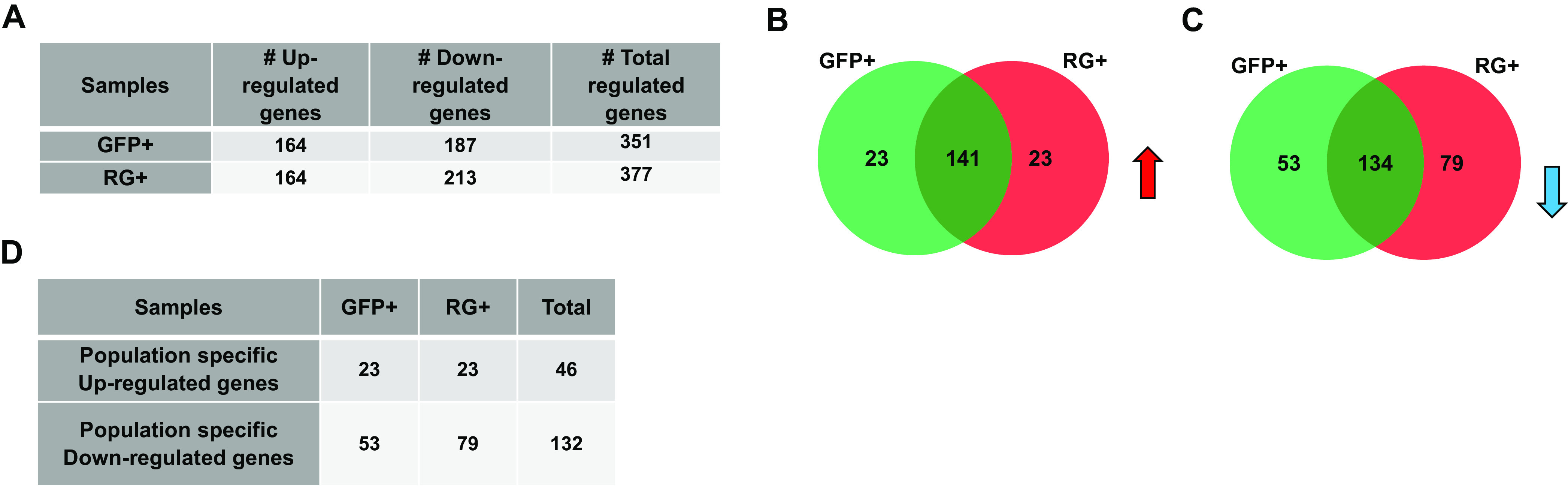 FIG 7