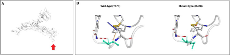 Fig. 19