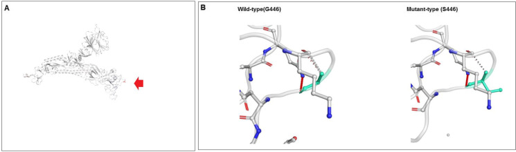 Fig. 18