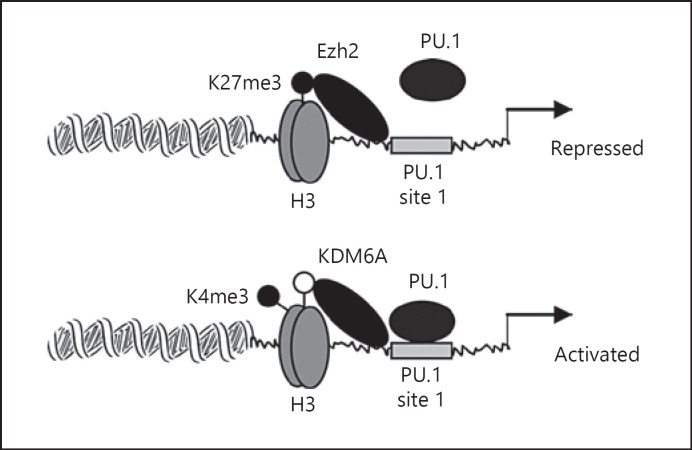 Fig. 7