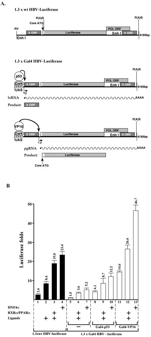 FIG. 7.