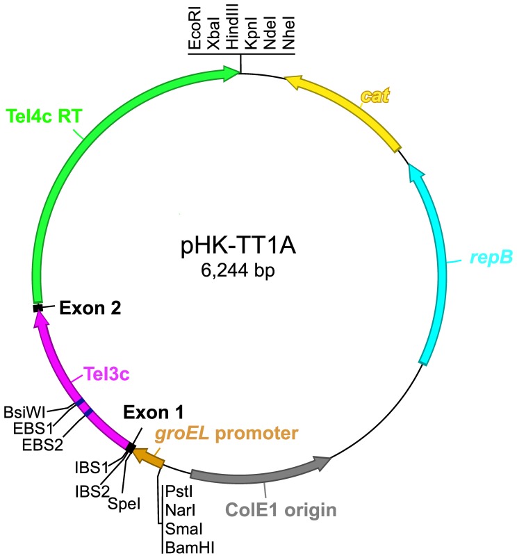 Figure 5