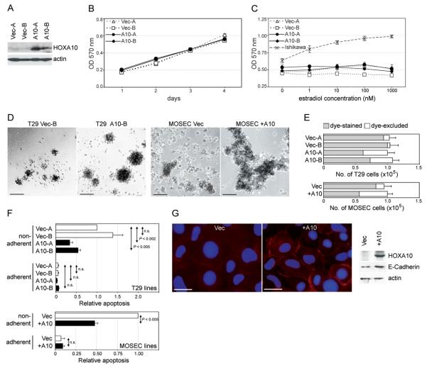 Fig.1