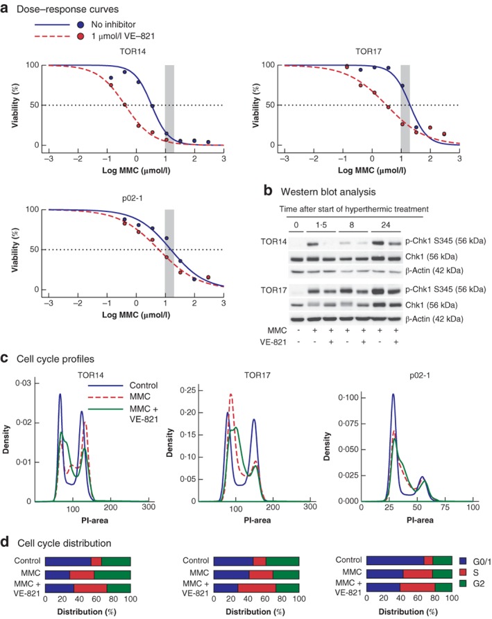 BJS-11206-FIG-0004-c