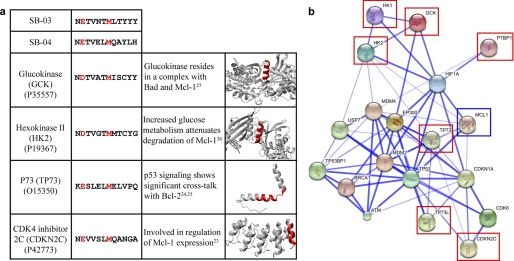 FIGURE 3.