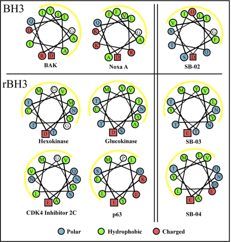 FIGURE 1.