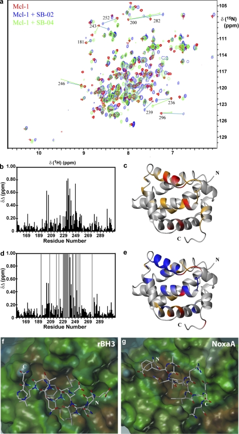 FIGURE 2.