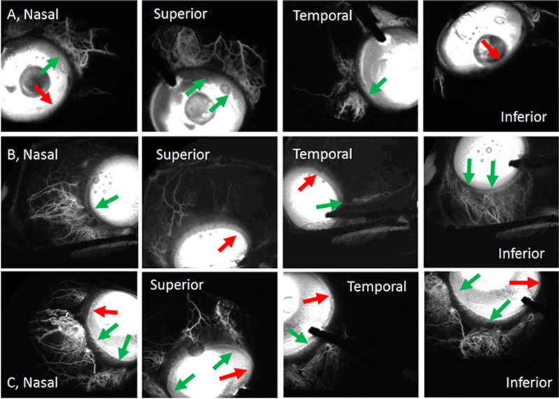 Figure 4.