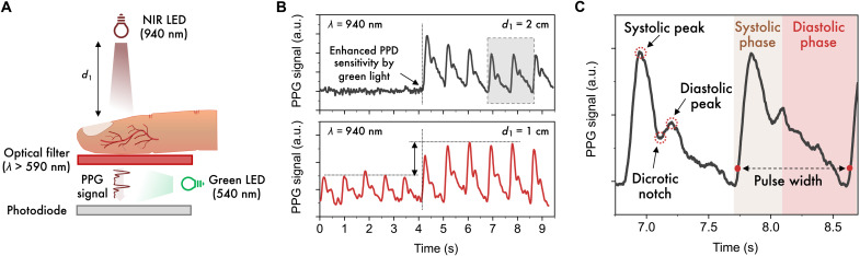 Fig. 4.