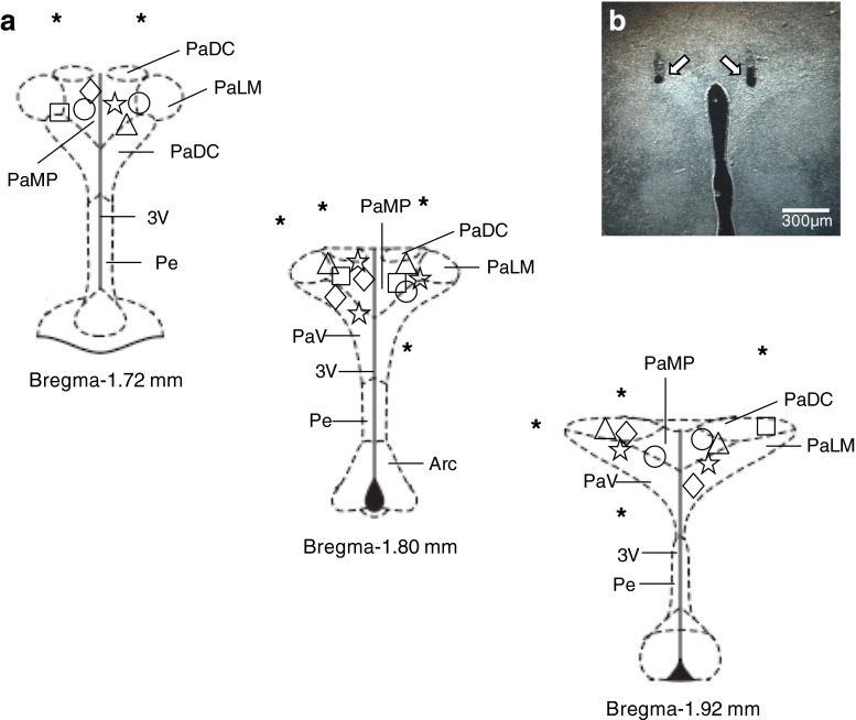 Fig. 6