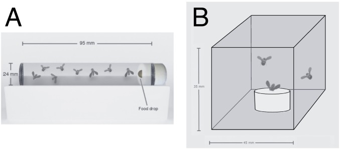 Fig. S1.