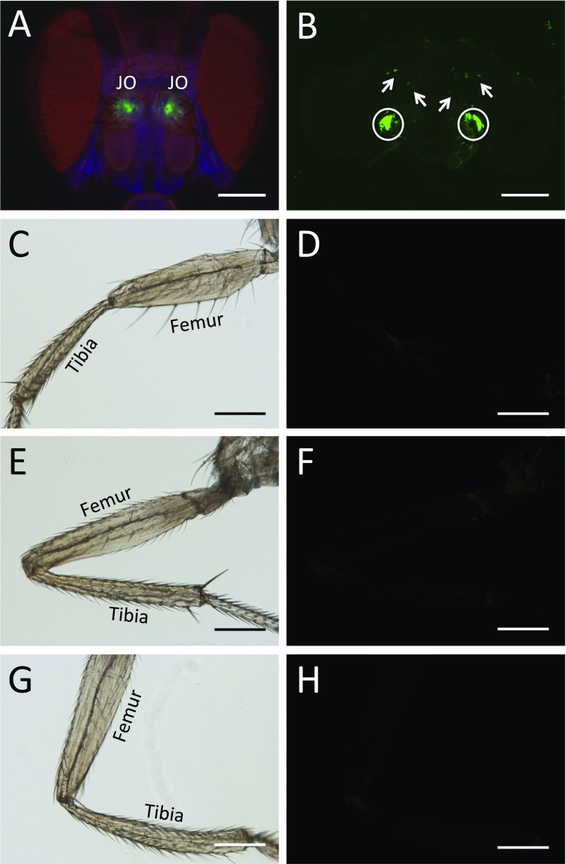 Fig. S4.