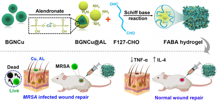 graphic file with name 12951_2023_1929_Figa_HTML.jpg