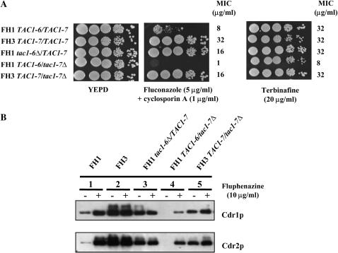 Figure 5.