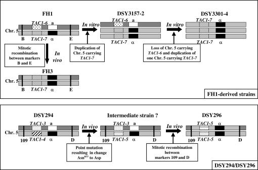 Figure 9.