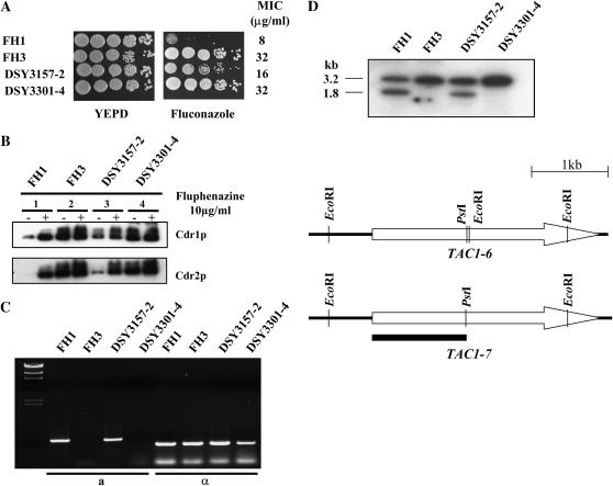 Figure 6.