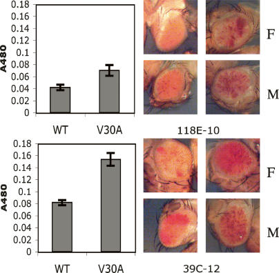 Figure 6.