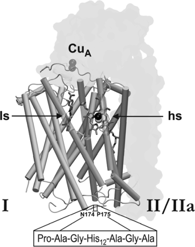 FIG. 3.