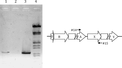 FIG. 2.