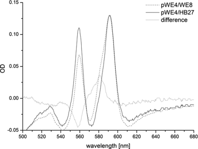 FIG. 7.