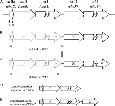 FIG. 1.