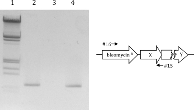 FIG. 5.