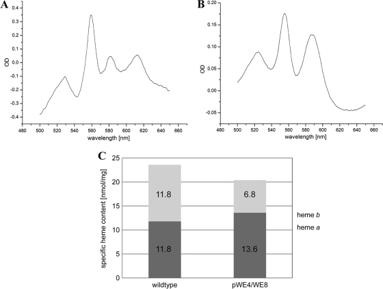 FIG. 6.